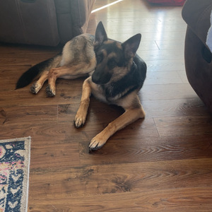 Fundraising Page: Kaylie Vanwave